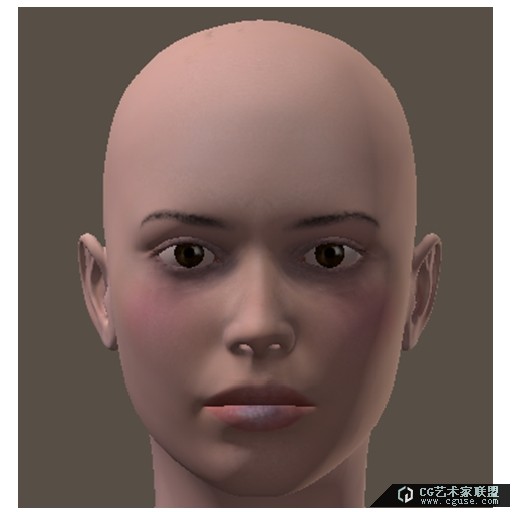 poser2014進(jìn)階教程之素材庫的管理